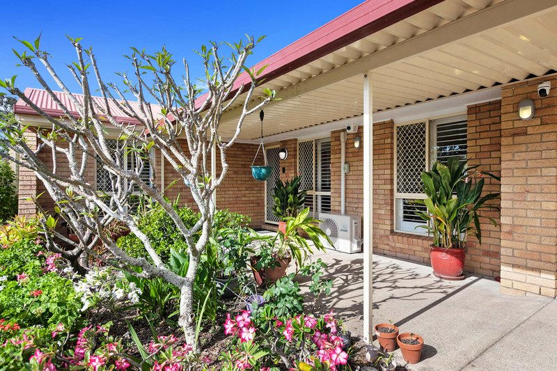 Photo - 31 Goodwin Avenue, Point Vernon QLD 4655 - Image 3