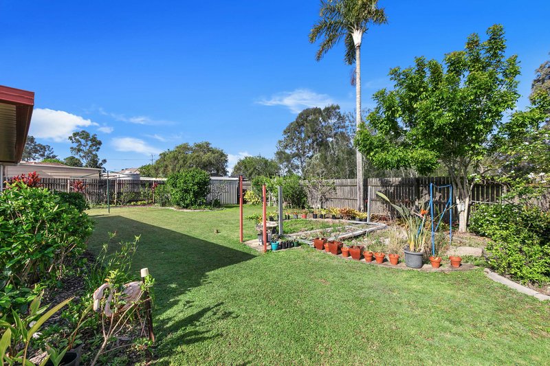 Photo - 31 Goodwin Avenue, Point Vernon QLD 4655 - Image 19