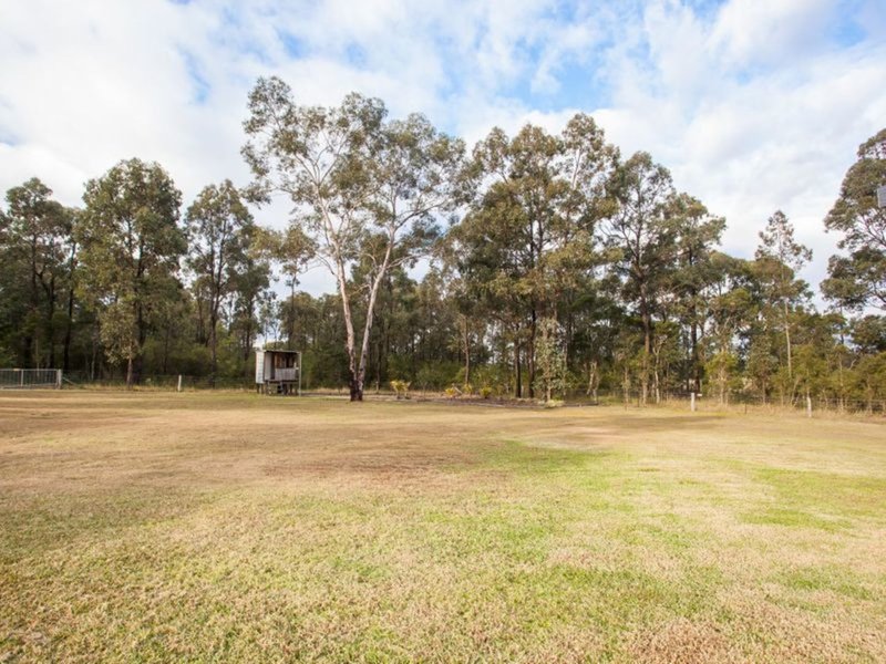 Photo - 31 Grey Gum Drive, Weston NSW 2326 - Image 3