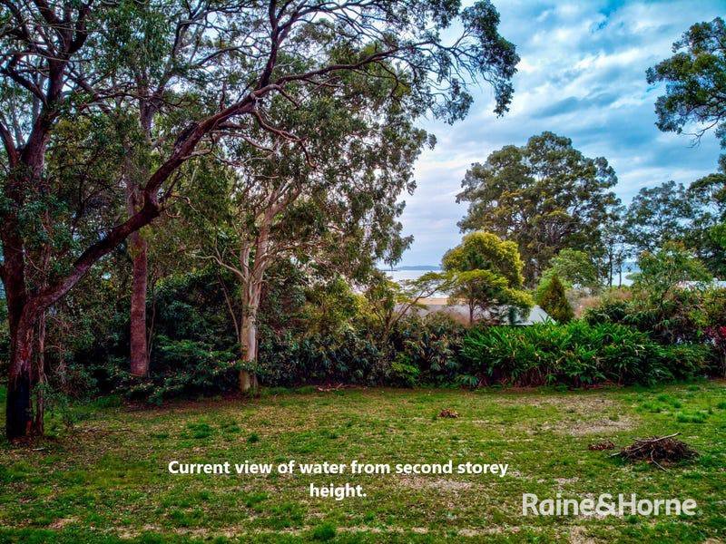 Photo - 31 Hawthornden Drive, Russell Island QLD 4184 - Image 14