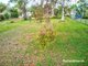 Photo - 31 Hawthornden Drive, Russell Island QLD 4184 - Image 16