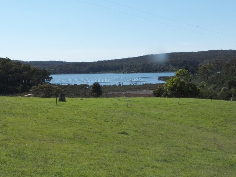 Photo - 31 Hunters Road, Tanja NSW 2550 - Image 3