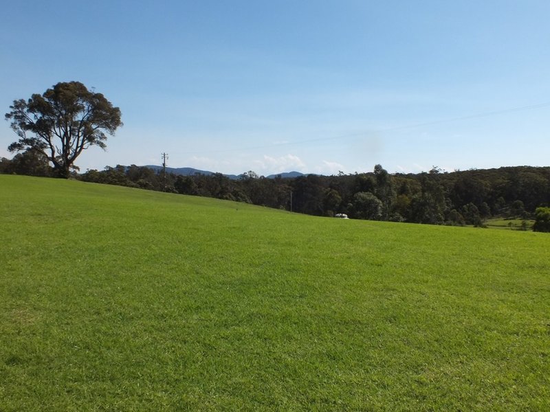 Photo - 31 Hunters Road, Tanja NSW 2550 - Image 11