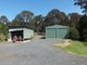 Photo - 31 Hunters Road, Tanja NSW 2550 - Image 17