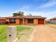 Photo - 31 Jacqueline Drive, Dubbo NSW 2830 - Image 1