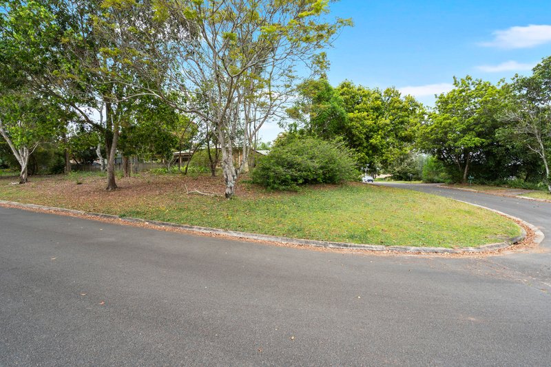 Photo - 31 Jane Street, Palmwoods QLD 4555 - Image 17