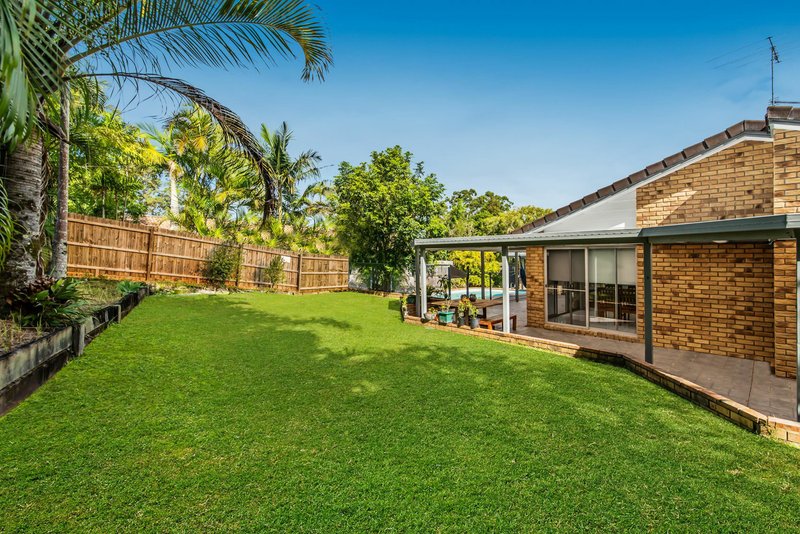 31 Jingellic Drive, Buderim QLD 4556