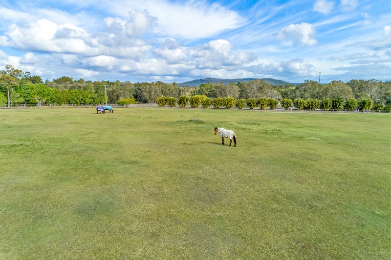 Photo - 31 Jirrima Crescent, Cooroibah QLD 4565 - Image 3