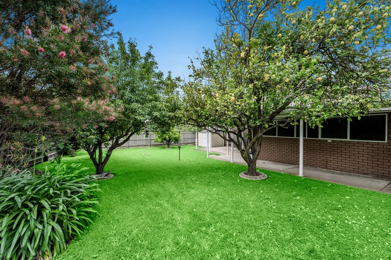 Photo - 31 Katrina Street, Blackburn North VIC 3130 - Image 7