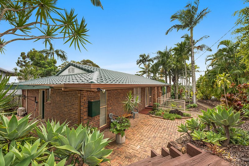 Photo - 31 Kerenjon Avenue, Buderim QLD 4556 - Image 4