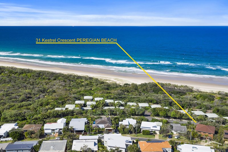 Photo - 31 Kestrel Crescent, Peregian Beach QLD 4573 - Image 2