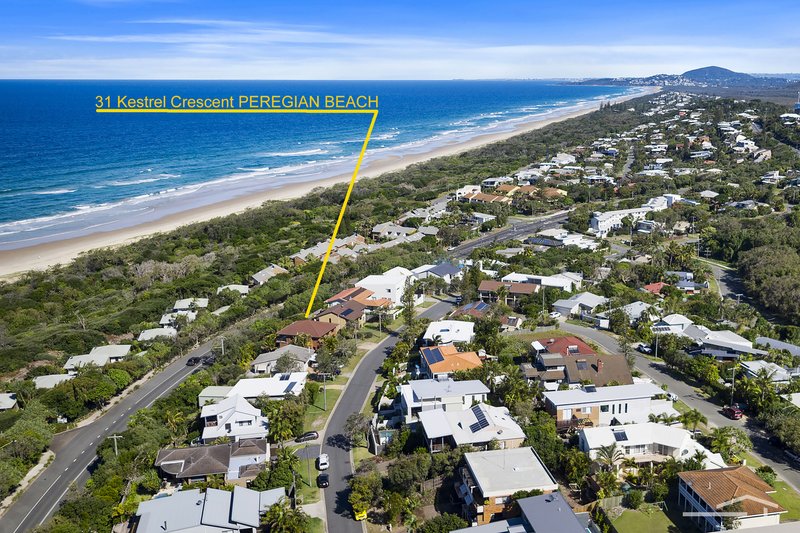 Photo - 31 Kestrel Crescent, Peregian Beach QLD 4573 - Image 7