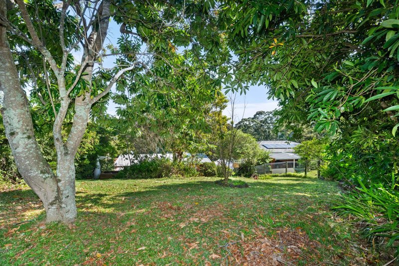 Photo - 31 Lalina Avenue, Tweed Heads West NSW 2485 - Image 8