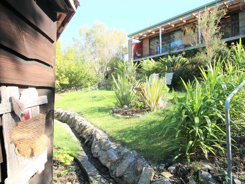 Photo - 31 Lawry Heights, St Helens TAS 7216 - Image 22