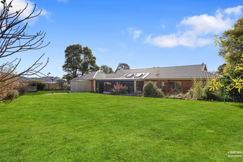 Photo - 31 Leahys Lane, Timboon VIC 3268 - Image 4