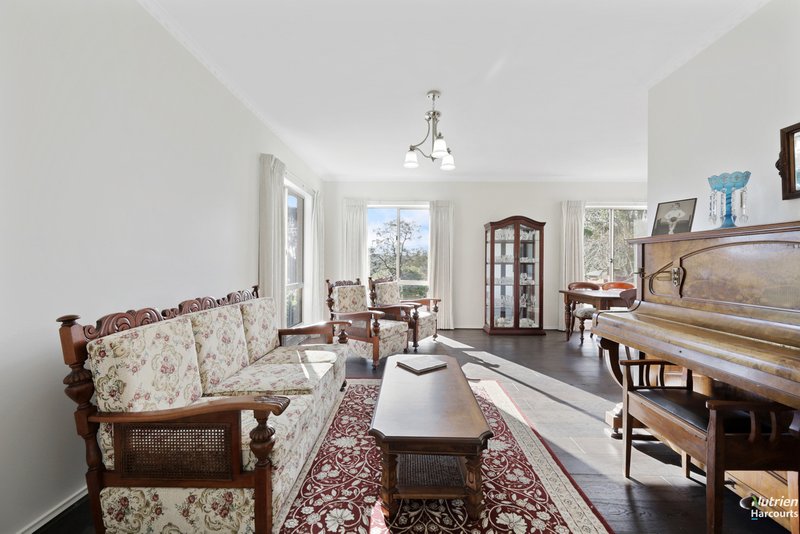 Photo - 31 Leahys Lane, Timboon VIC 3268 - Image 5