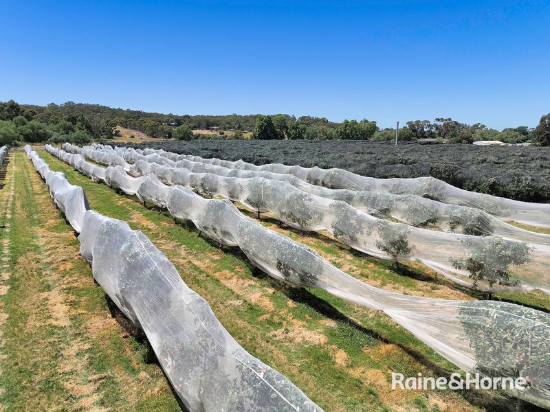 Photo - 31 Lerderderg Gorge Road, Darley VIC 3340 - Image 4