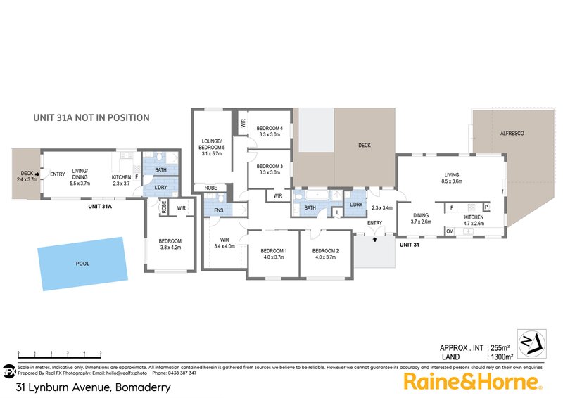 Photo - 31 Lynburn Avenue, Bomaderry NSW 2541 - Image 14