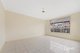 Photo - 31 Macadamia Grove, Werribee VIC 3030 - Image 5