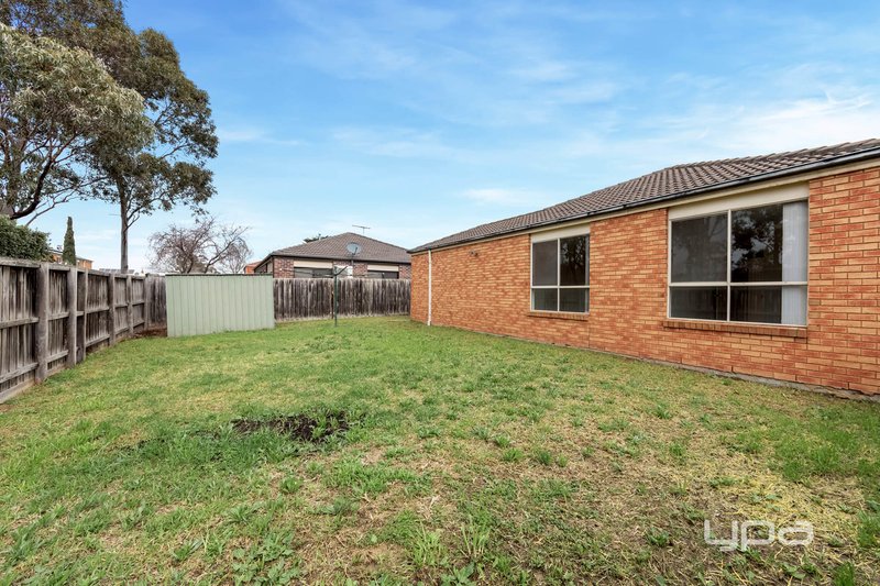 Photo - 31 Macadamia Grove, Werribee VIC 3030 - Image 12