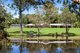 Photo - 31 Mannikin Road, Tanawha QLD 4556 - Image 1