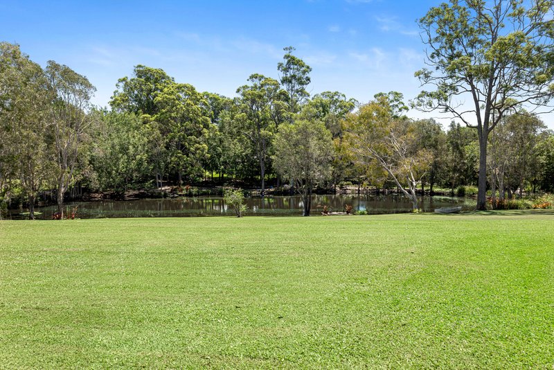 Photo - 31 Mannikin Road, Tanawha QLD 4556 - Image 4