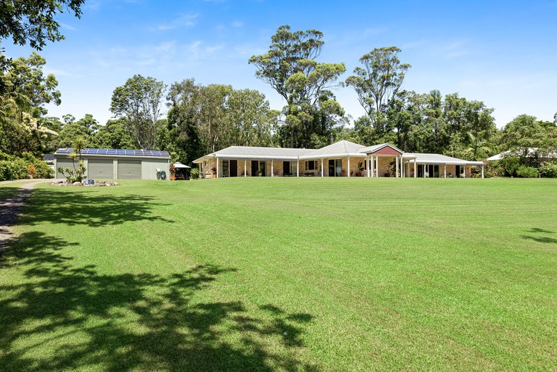 Photo - 31 Mannikin Road, Tanawha QLD 4556 - Image 5