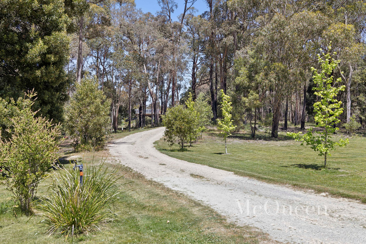 4-bedroom house at 31 Marshalls Road, Musk, VIC 3461, Hepburn, Victoria