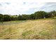 Photo - 31 Maslin Close, Red Head NSW 2430 - Image 5