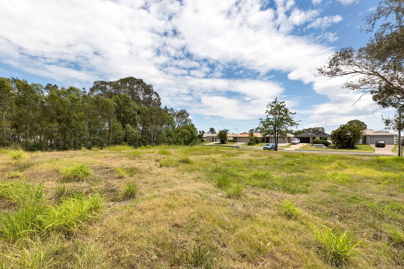 Photo - 31 Mcgahey Street, Rothwell QLD 4022 - Image 4