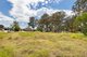 Photo - 31 Mcgahey Street, Rothwell QLD 4022 - Image 5