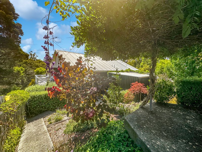 Photo - 31 Medeas Cove Road, St Helens TAS 7216 - Image 30