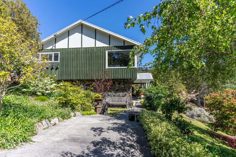 Photo - 31 Medeas Cove Road, St Helens TAS 7216 - Image 33