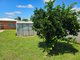 Photo - 31 Munro Street, Ayr QLD 4807 - Image 26