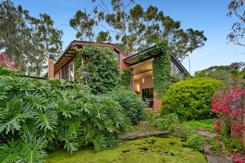 Photo - 31 North Boulevard, Tea Tree Gully SA 5091 - Image 1