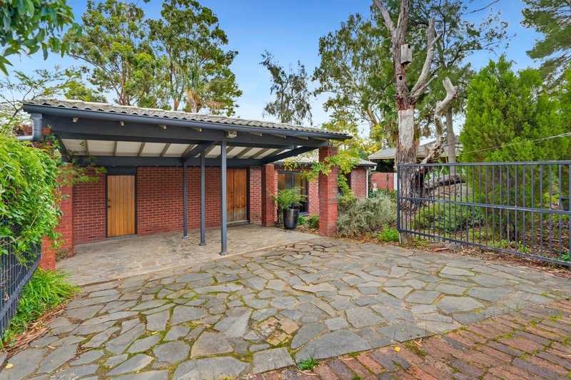 Photo - 31 North Boulevard, Tea Tree Gully SA 5091 - Image 2