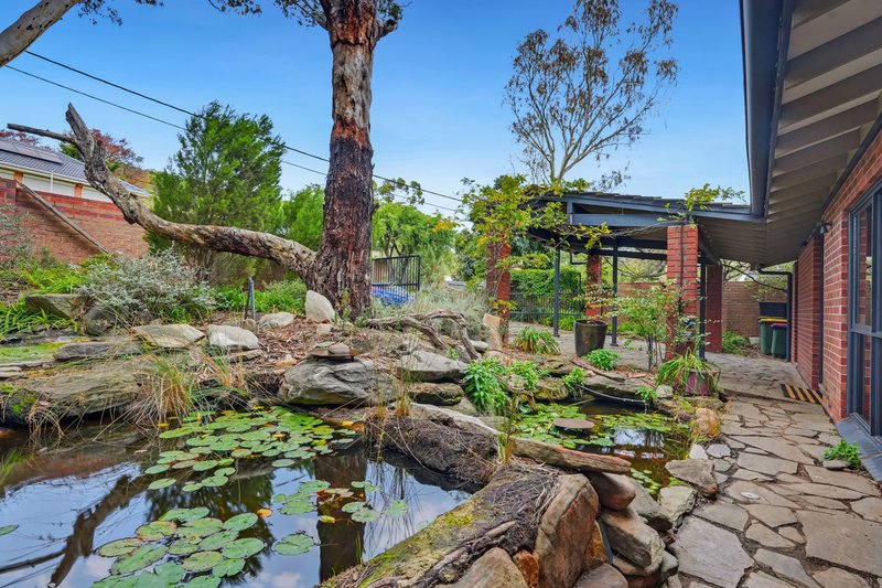 Photo - 31 North Boulevard, Tea Tree Gully SA 5091 - Image 26