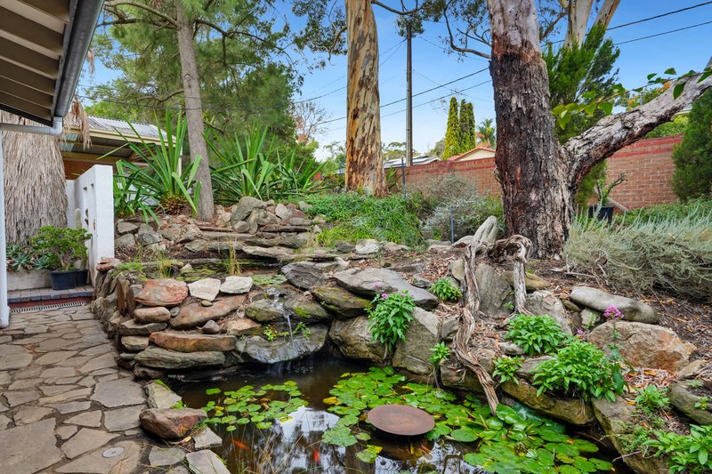 Photo - 31 North Boulevard, Tea Tree Gully SA 5091 - Image 27