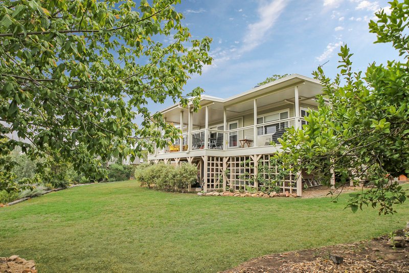 Photo - 31 Nowland Avenue, Quirindi NSW 2343 - Image 4