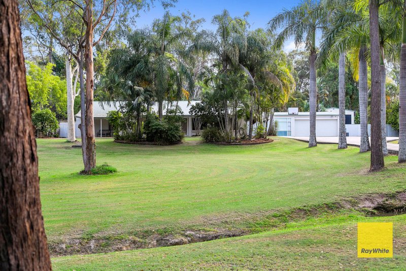 Photo - 31 Oakwood Street, Capalaba QLD 4157 - Image 4