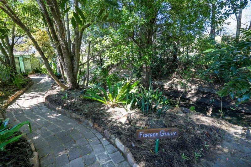 Photo - 31 O'Donnell Drive, Figtree NSW 2525 - Image 7