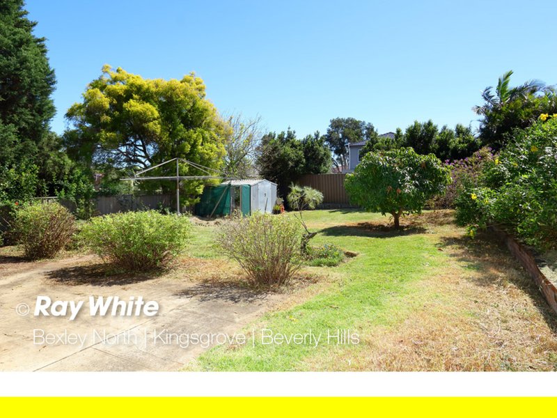 Photo - 31 Olive Street, Kingsgrove NSW 2208 - Image 5