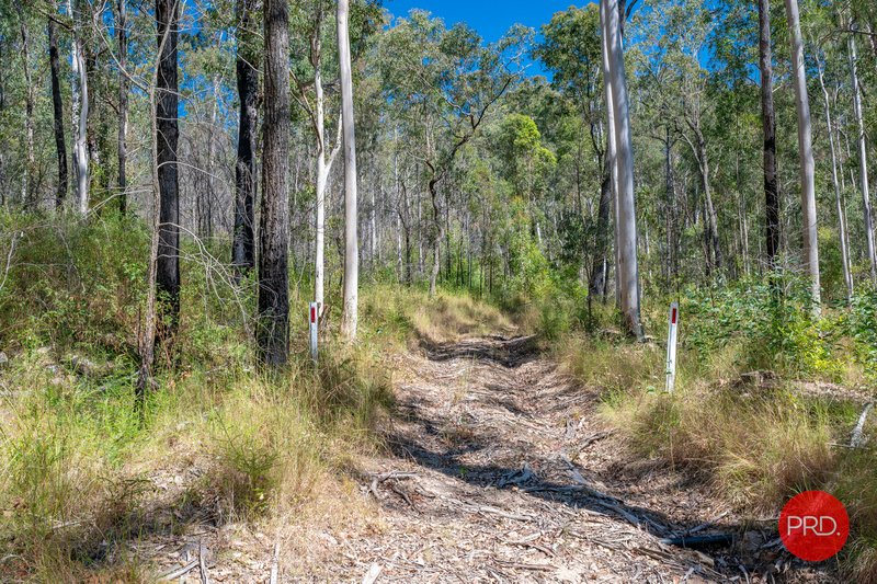 Photo - 31 Persimmon Close, Glenreagh NSW 2450 - Image 9