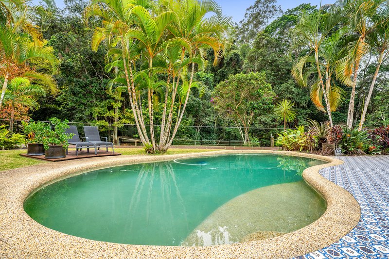 Photo - 31 Pinetree Court, Mudgeeraba QLD 4213 - Image 9