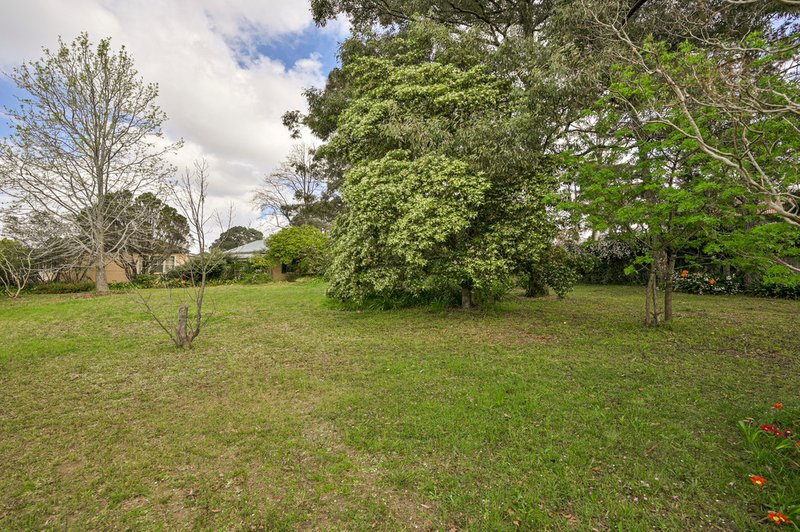 Photo - 31 Pitt Street, Tahmoor NSW 2573 - Image 3