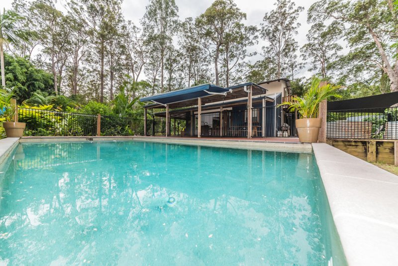 Photo - 31 Ponderosa Drive, Cooroy QLD 4563 - Image 4