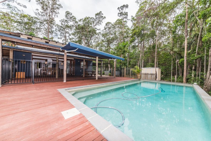 Photo - 31 Ponderosa Drive, Cooroy QLD 4563 - Image 13