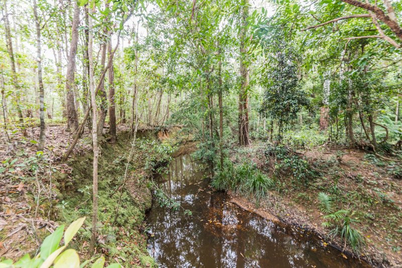 Photo - 31 Ponderosa Drive, Cooroy QLD 4563 - Image 17