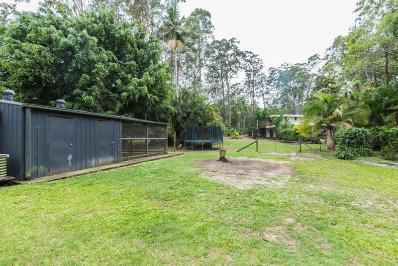 Photo - 31 Ponderosa Drive, Cooroy QLD 4563 - Image 19