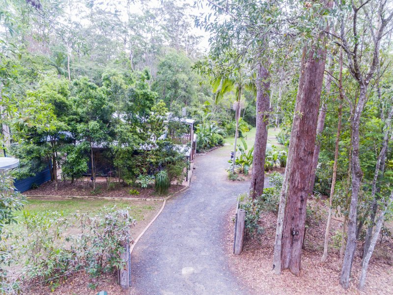 Photo - 31 Ponderosa Drive, Cooroy QLD 4563 - Image 24